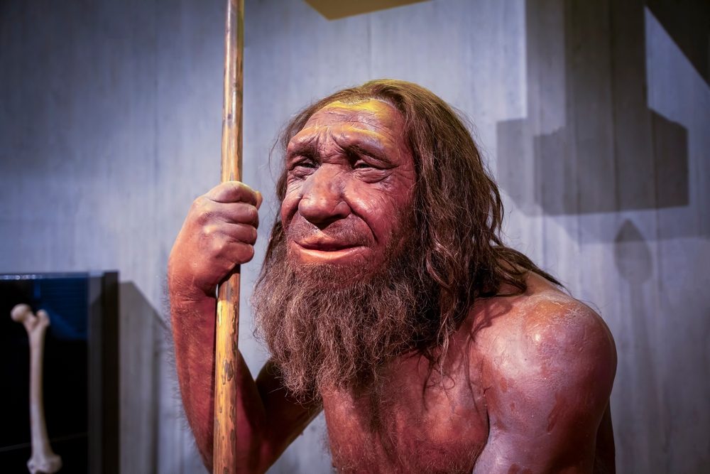 En voksfigur af en neandertaler, der holder en pind