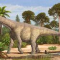 Dinosauer