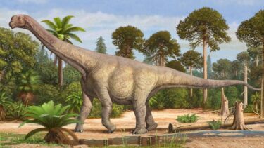 Dinosauer