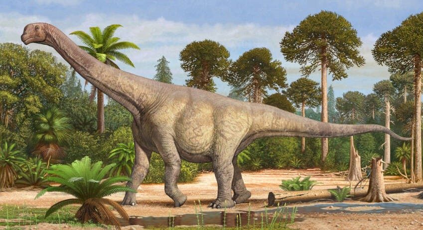 Dinosauer