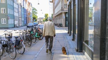 Mand går tur med en hund på fortovet i København