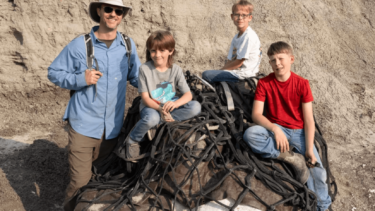 T. rex fossil fundet af tre drenge