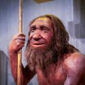 Neanderthaler