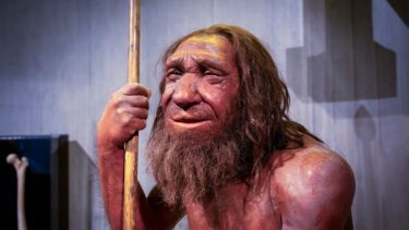 Neanderthaler