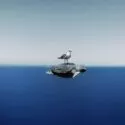 Enric Adrian Gener A seagull rests on top of a sea turtle shortly before they both continue their own paths. Mediterranean Sea