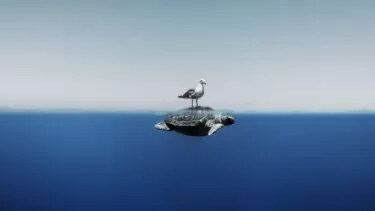 Enric Adrian Gener A seagull rests on top of a sea turtle shortly before they both continue their own paths. Mediterranean Sea