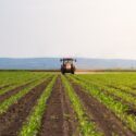 En traktor, der spreder pesticider ud over mark
