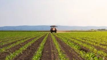 En traktor, der spreder pesticider ud over mark