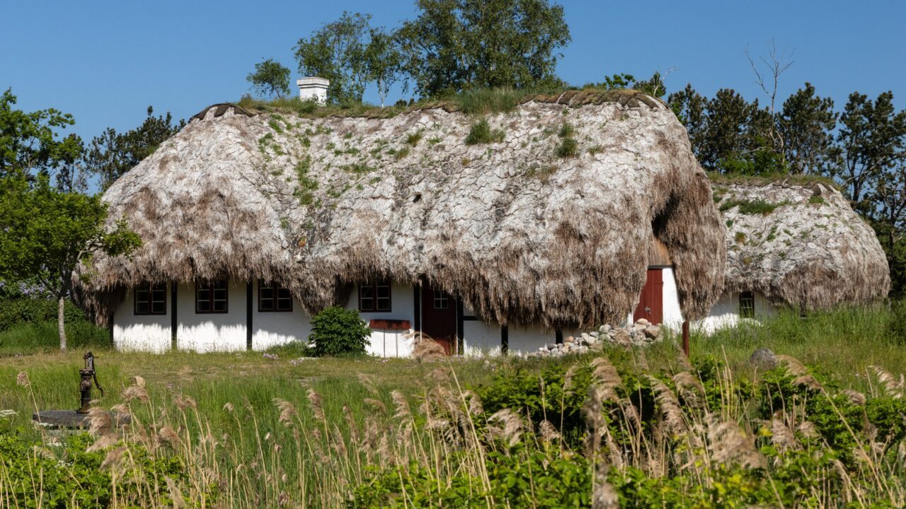 Tag af tang på hus på øen Læsø
