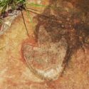 Tretået dinosaur-fodspor fossil fra flodleje i Brasilien
