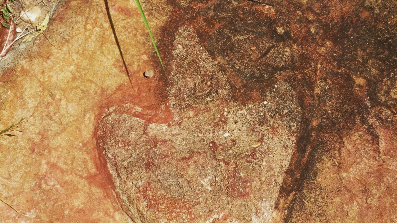Tretået dinosaur-fodspor fossil fra flodleje i Brasilien