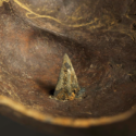 Pilespids af bronze, der har gennemboret et kranie