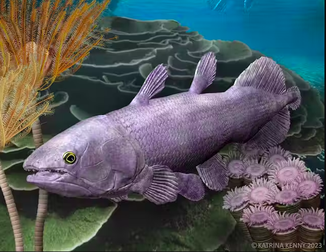 Illustration af en Ngamugawi wirngarri coelacanth i dens naturlige habitat