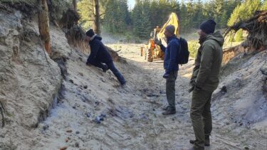flyvesand i midtjylland