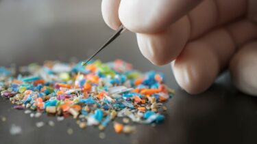 Pincet rører ved mikroplast