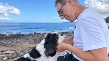 Mand kigger på sin hund på strand, mens han sidder ned.