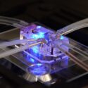 Lunge på en mikrochip