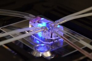 Lunge på en mikrochip