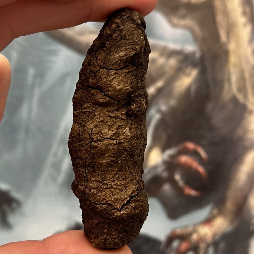 Bromalit, dinolort, holdt af en hånd med et billede af en dinosaur i baggrunden