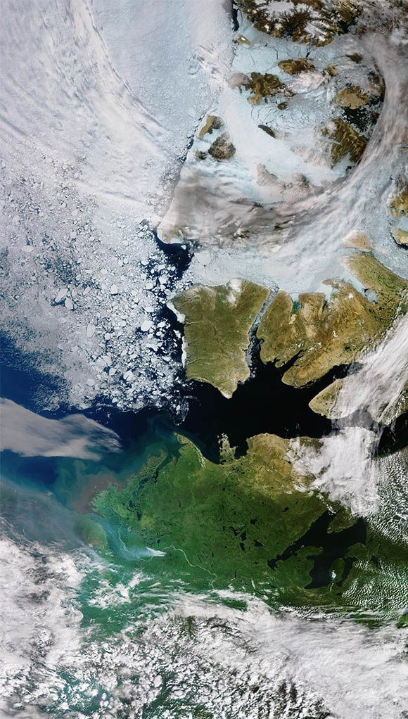 Arktisk havis set fra en Copernicus-satellit