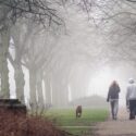 Par går tur på Frederiksberg med en hund i en park