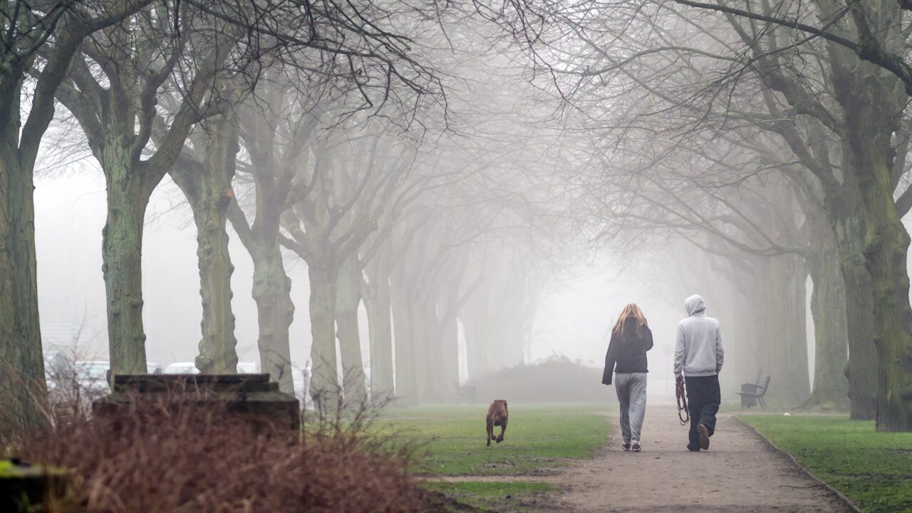 Par går tur på Frederiksberg med en hund i en park
