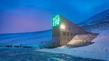 Indgangen til Svalbard Global Seed Vault midt i et snedækket landskab.