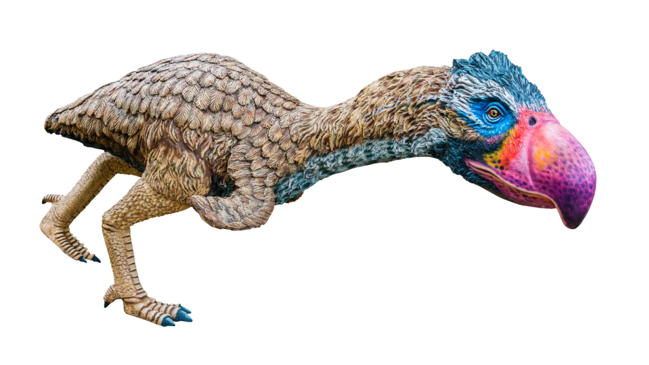 Terrorfugl