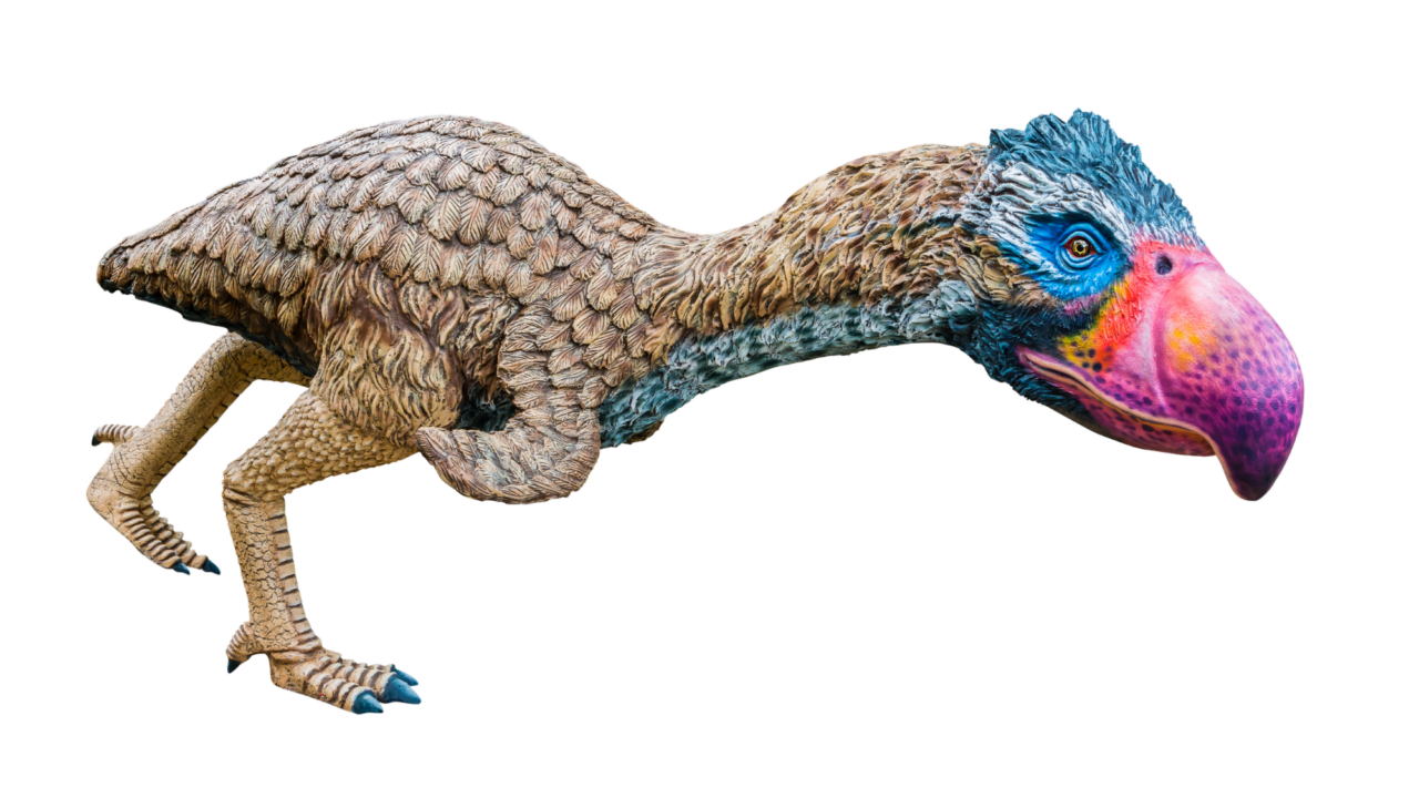 Terrorfugl