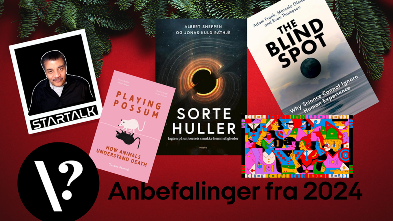 Illustration af anbefalinger fra 2024