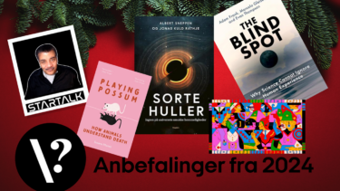 Illustration af anbefalinger fra 2024
