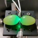 Et eksperiment med grøn laser og vindruer