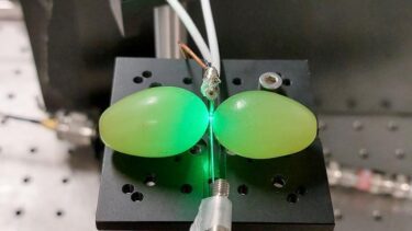 Et eksperiment med grøn laser og vindruer