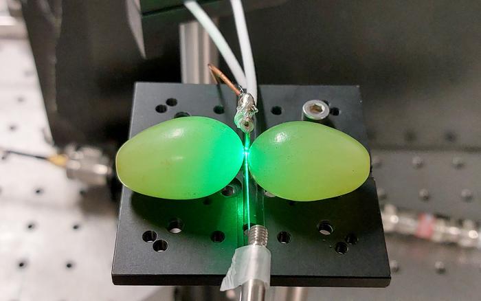 Et eksperiment med grøn laser og vindruer