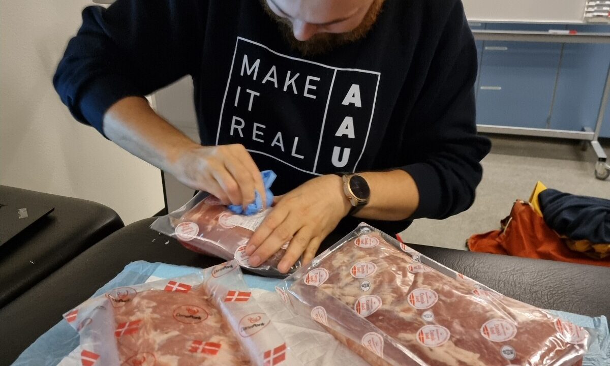 Mand klargør flæskesteg til at blive ultraskannet