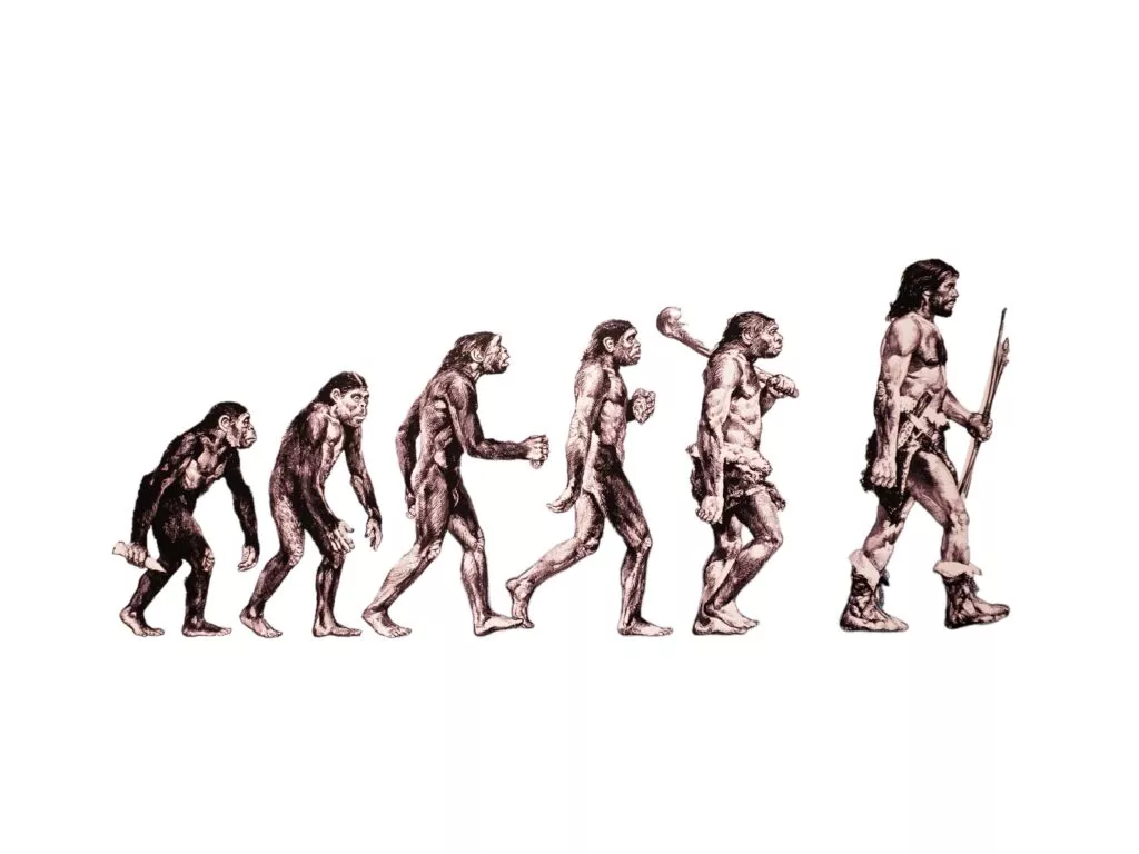 Illustration af menneskets evolution