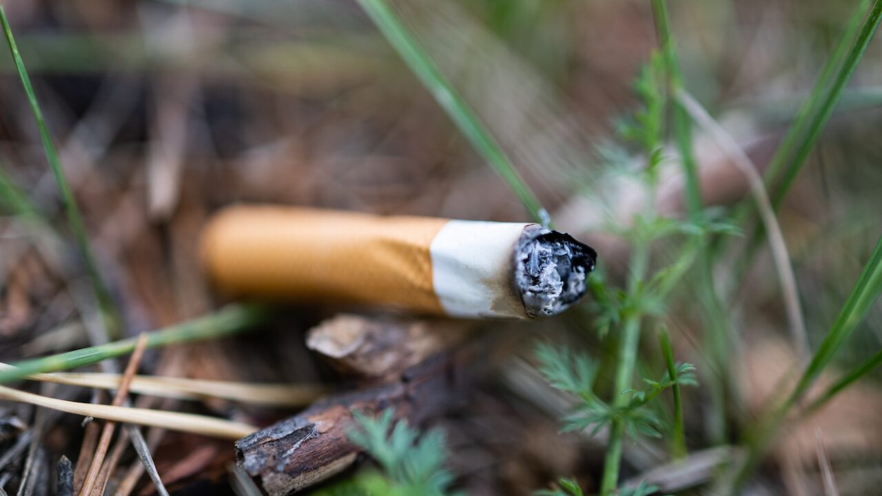 Cigaretskod i naturen