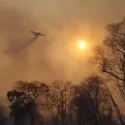 Helikopter smider vand over skovbrand i Cianorte, Paraná, Brasilien i august 2024.