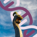 Vikingeskib foran dna-streng