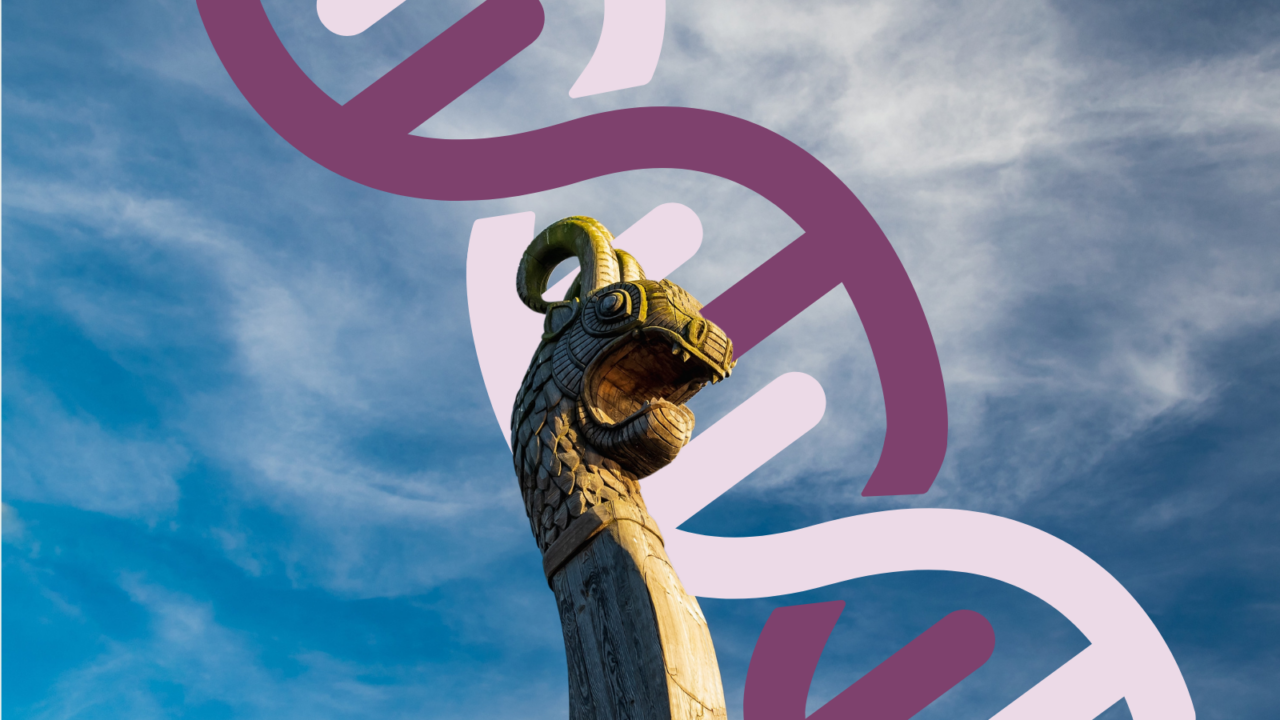 Vikingeskib foran dna-streng