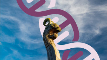 Vikingeskib foran dna-streng