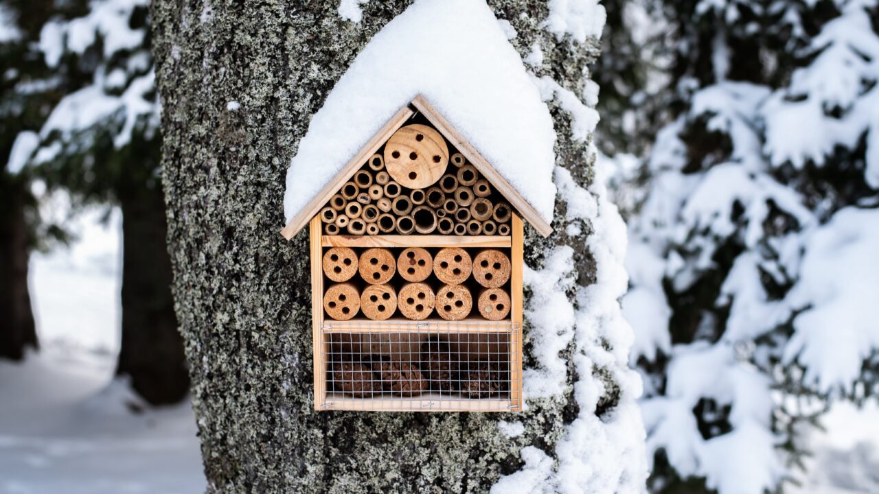 Insekthotel