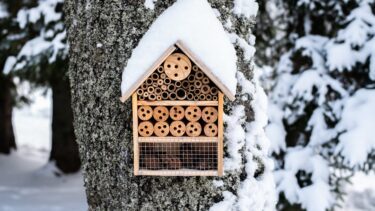 Insekthotel