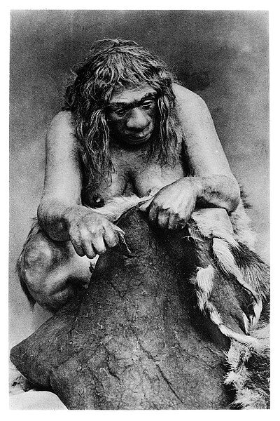 En tegning af en neandertalerkvinde