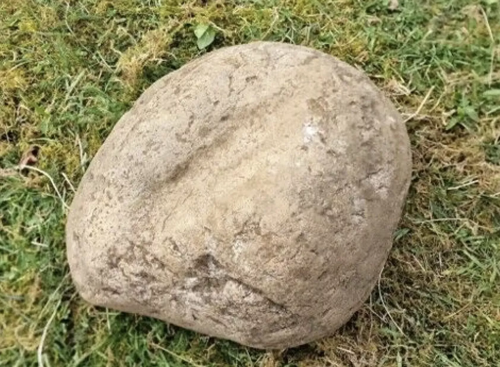 Det er den sten i båden, som arkæologer kalder en vulvasten. 
