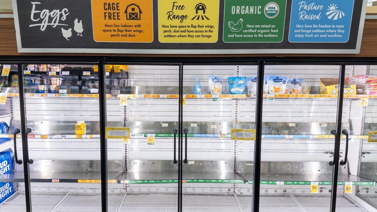Udbrud af fugleinfluenza og forsyningsmangel har tvunget priserne på æg i vejret i USA