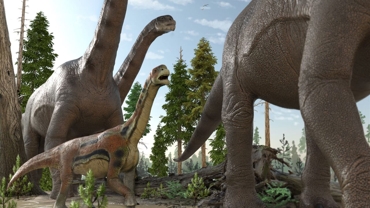 dinosaur