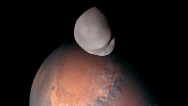 Et billede af Deimos, Mars' måne