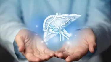 Læges hænder holder et hologram af en lever