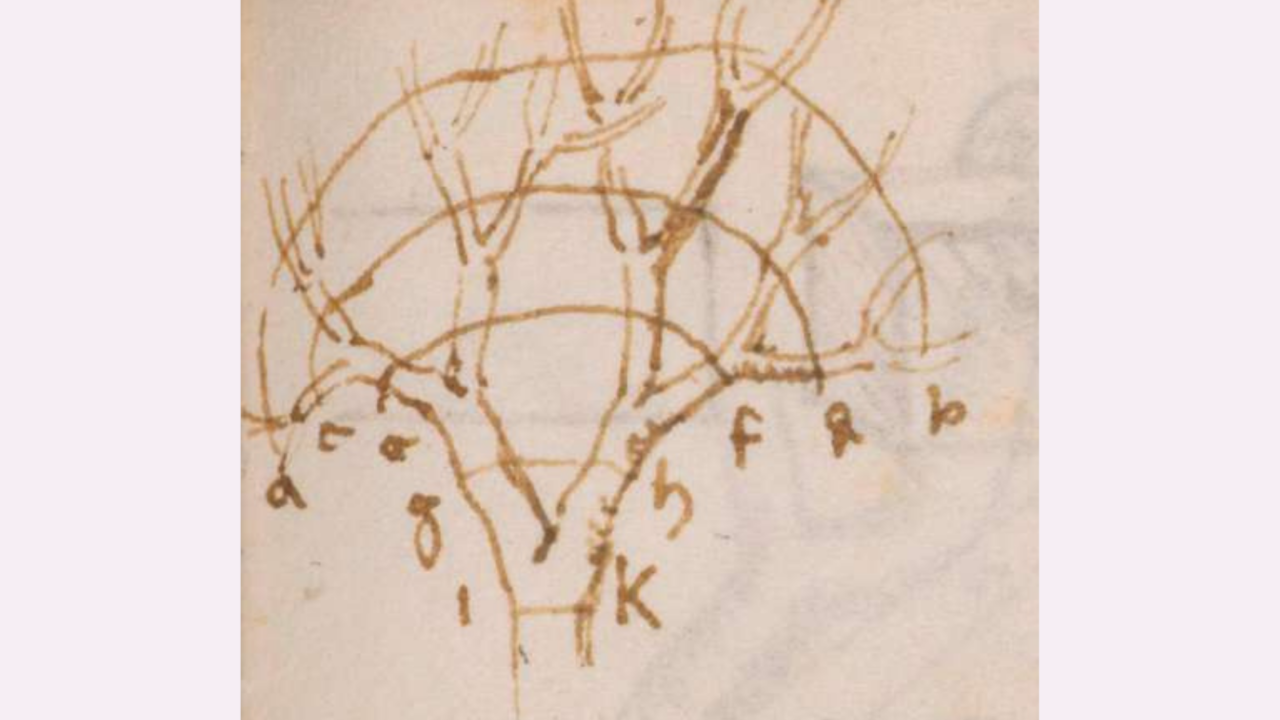 Leonardo da Vincis skitsetegning af et træ